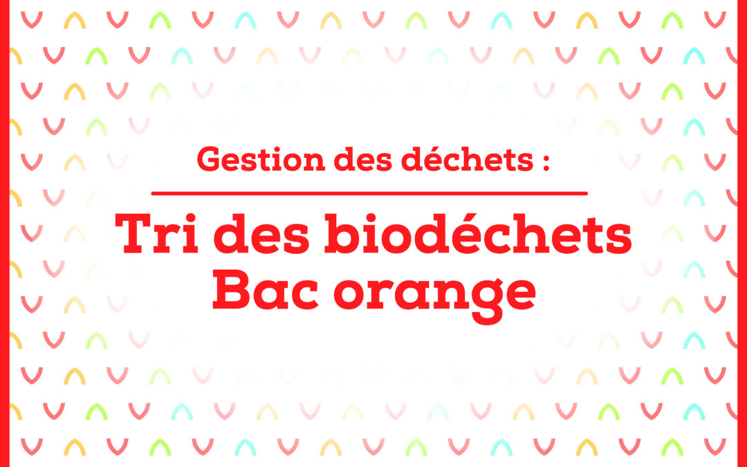 Tri des déchets : Expérimentation du Bac orange
