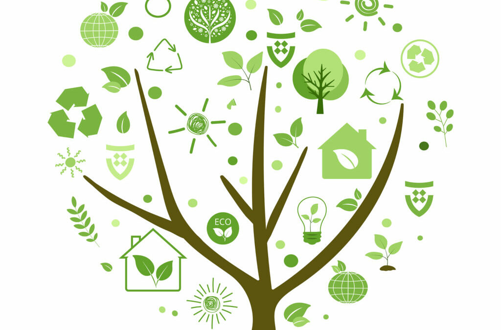 Un Engagement Renforcé envers l’Environnement