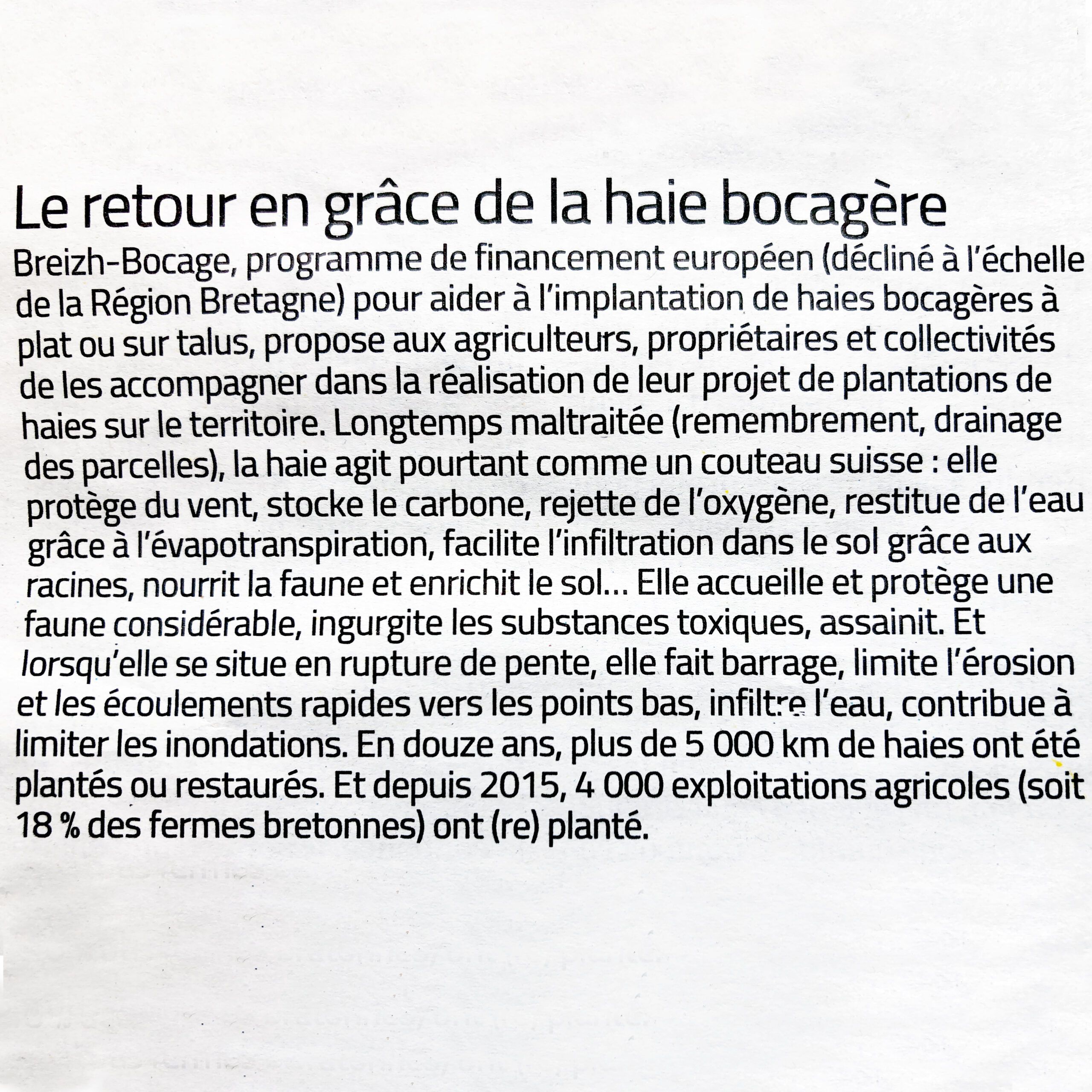 article