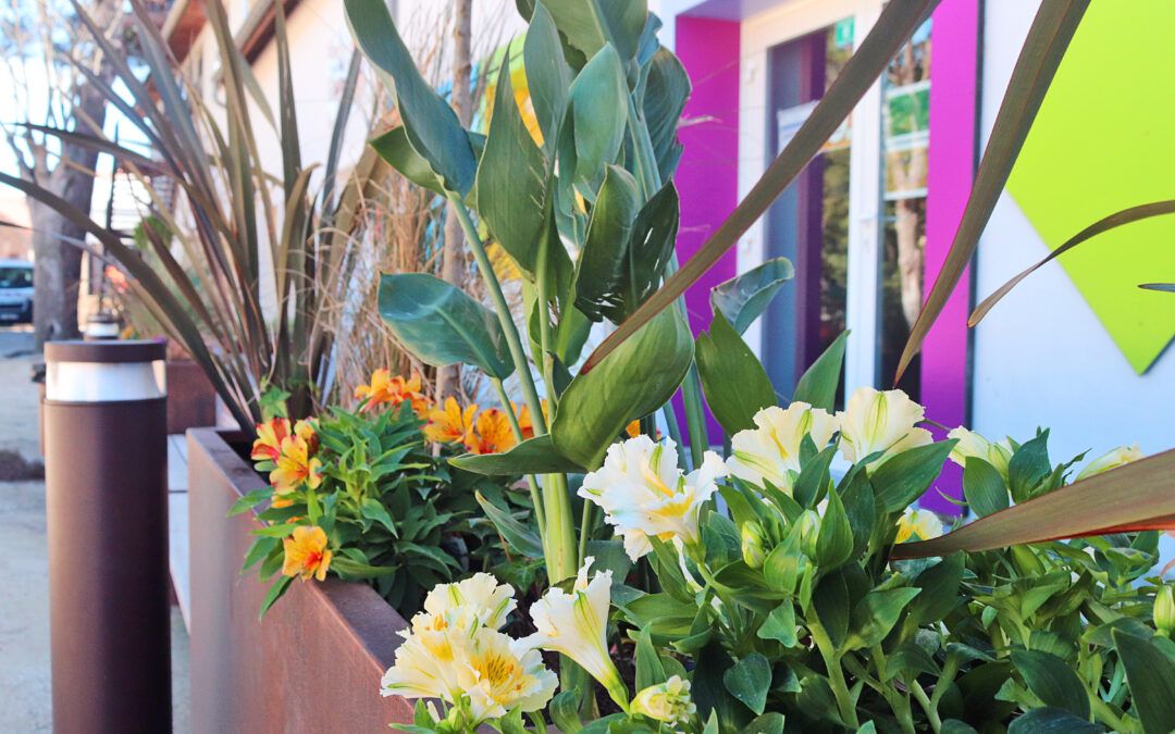 Le Parc de la Mairie se prépare pour le Printemps !