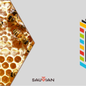 Conférence "L'abeille, sentinelle de l'environnement", vendredi 16 mai 18h00.