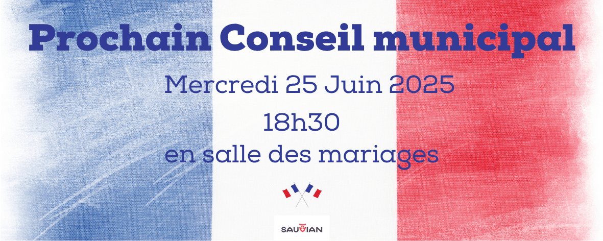 conseil municipal juin