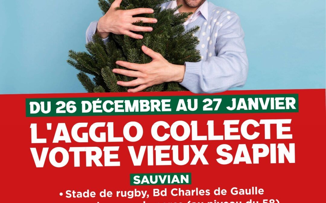 🎄 AU REVOIR MON BEAU SAPIN 🎄